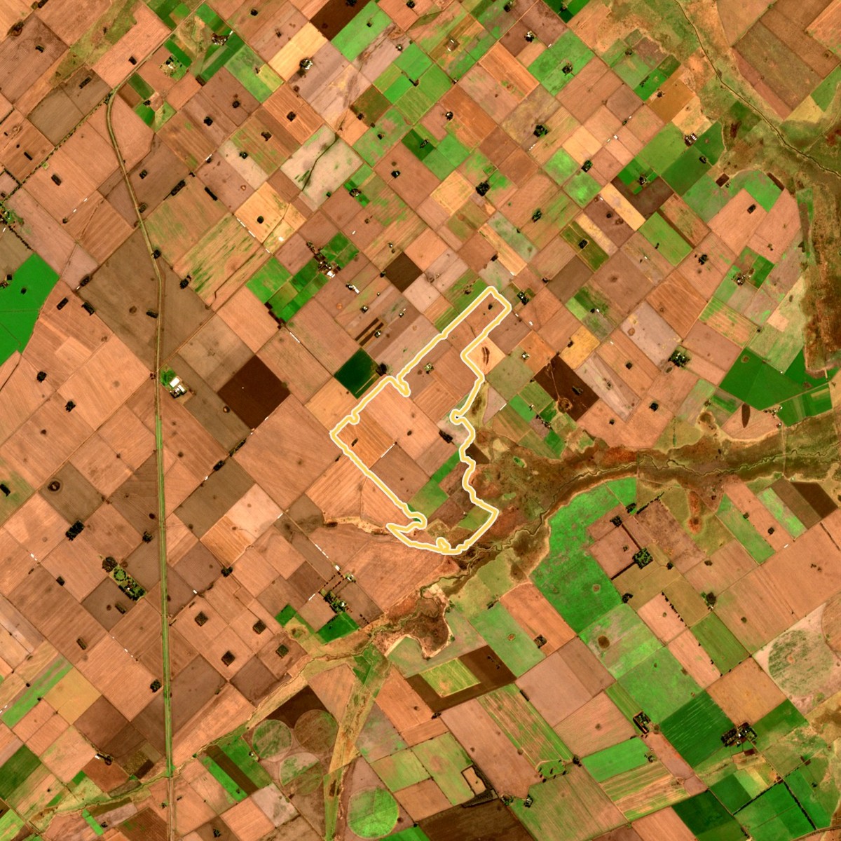 Imagen satelital del campo de 575 ha en Colón con el contorno señalado